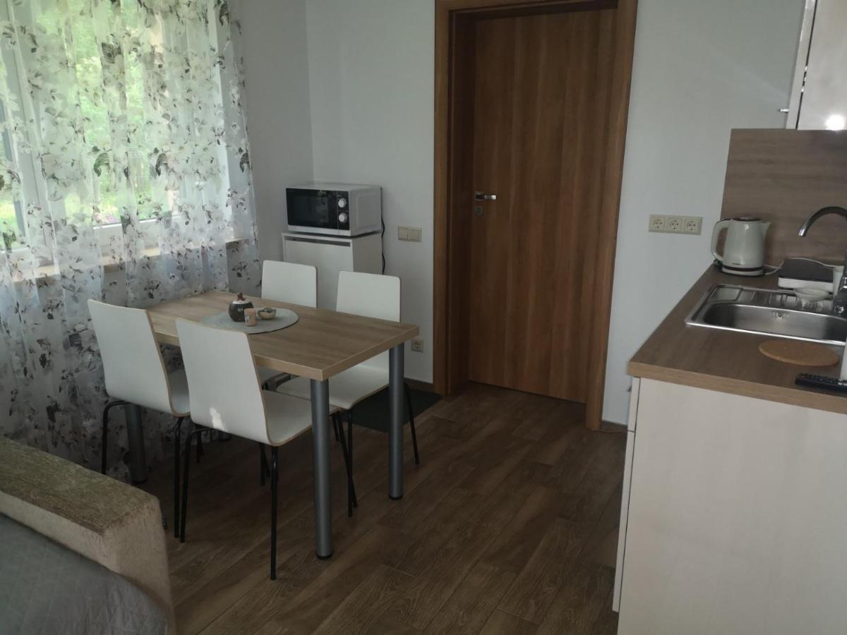 Kristinos Apartment Druskininkai Exteriér fotografie