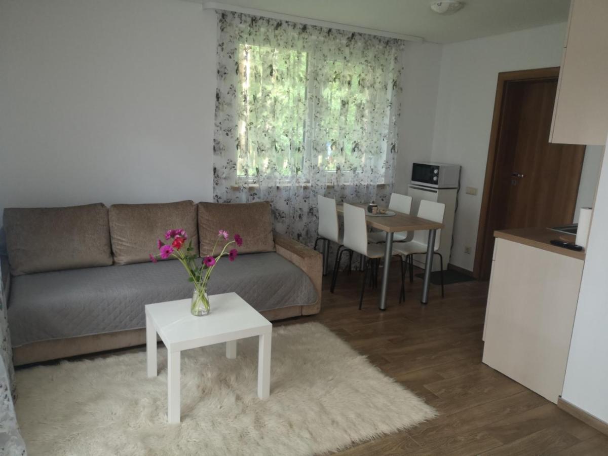 Kristinos Apartment Druskininkai Exteriér fotografie