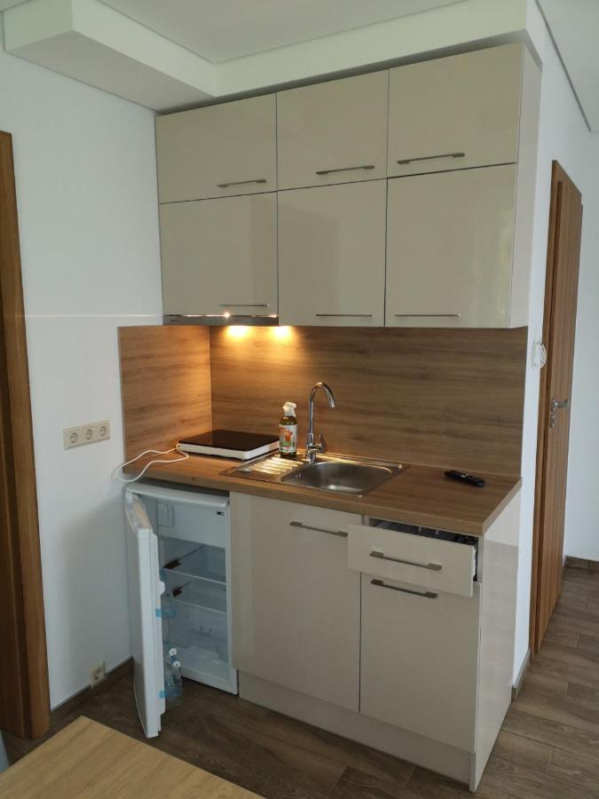 Kristinos Apartment Druskininkai Exteriér fotografie