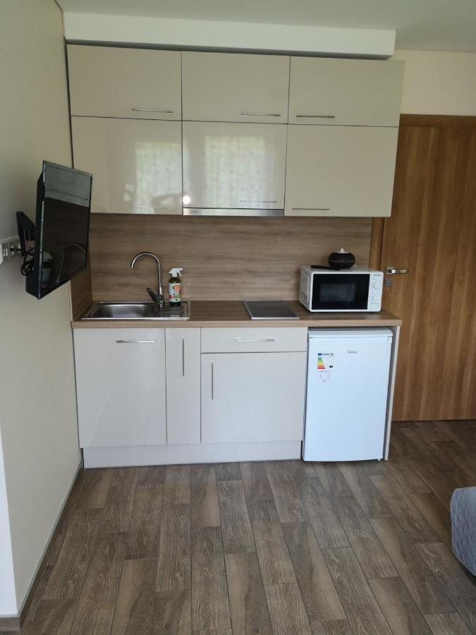 Kristinos Apartment Druskininkai Exteriér fotografie