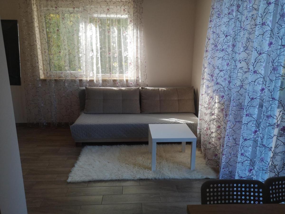 Kristinos Apartment Druskininkai Exteriér fotografie