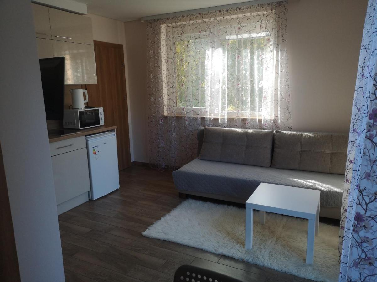 Kristinos Apartment Druskininkai Exteriér fotografie